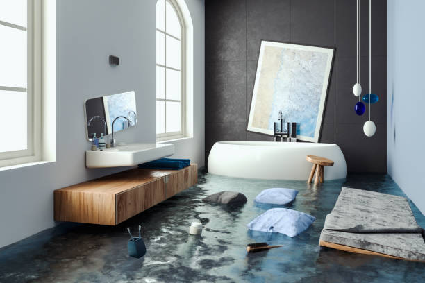 Best Mold removal after water damage  in Roscoe, IL