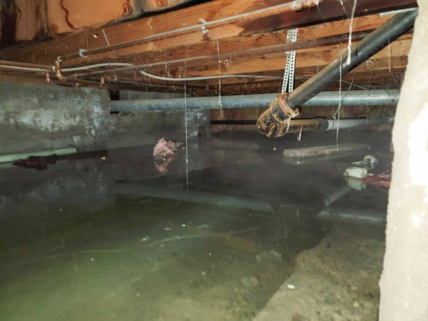 Water damage restoration mold remediation in Roscoe, IL