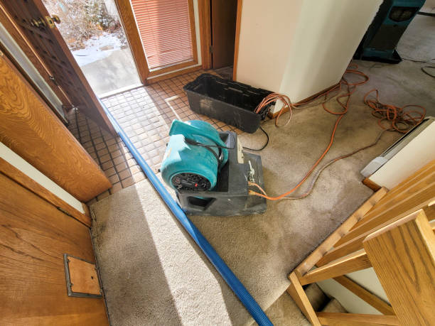 Best Fire Damage Restoration  in Roscoe, IL