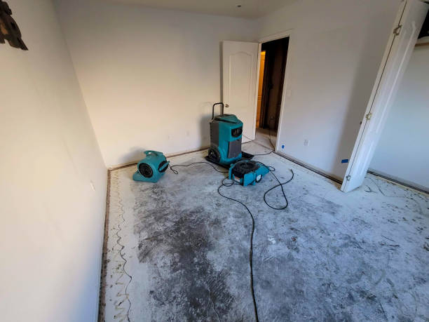  Roscoe, IL Water damage restoration Pros