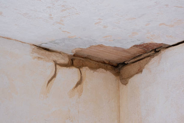 Best Local water damage restoration  in Roscoe, IL