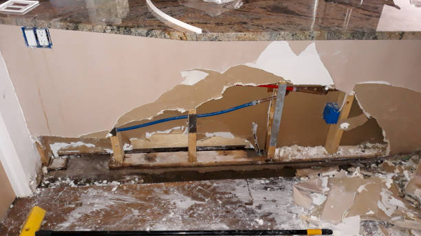 Best Water damage restoration near me  in Roscoe, IL