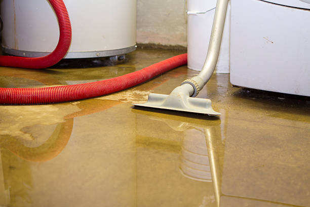 Best Water damage contractors near me  in Roscoe, IL