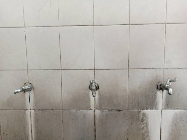 Best 24-hour water damage restoration  in Roscoe, IL