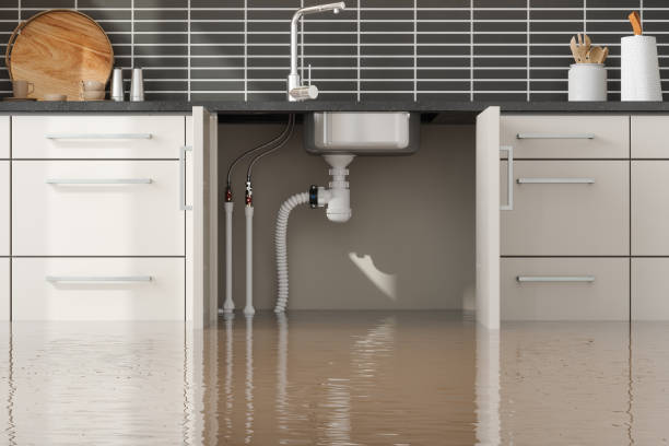 Best Basement water damage restoration  in Roscoe, IL