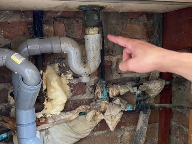 Best Emergency water damage restoration  in Roscoe, IL