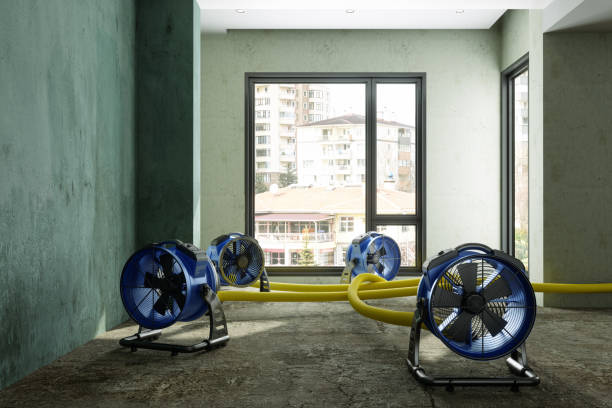 Best Commercial water damage restoration  in Roscoe, IL