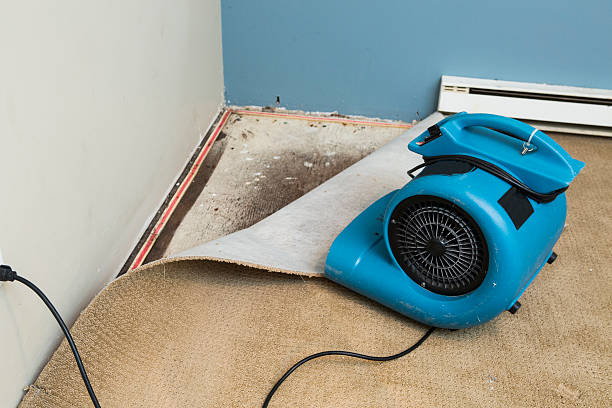 Best Residential water damage restoration  in Roscoe, IL
